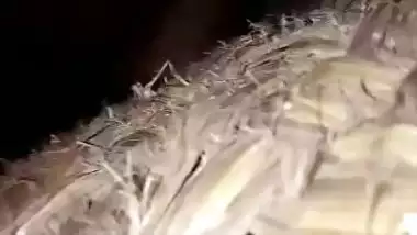 Desi guy fucking his wifes younger sister video